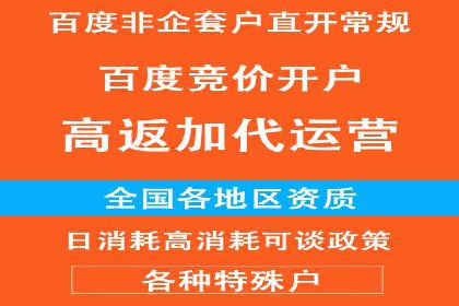 SEM托管代运营案例解析：ROI大幅提升的秘诀
